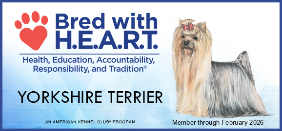 2025_YORK_BWH_banner 2026